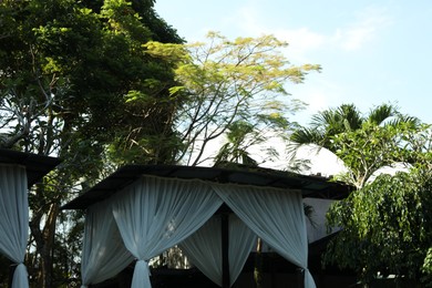 Photo of Different green trees and sunbeds outdoors, low angle view