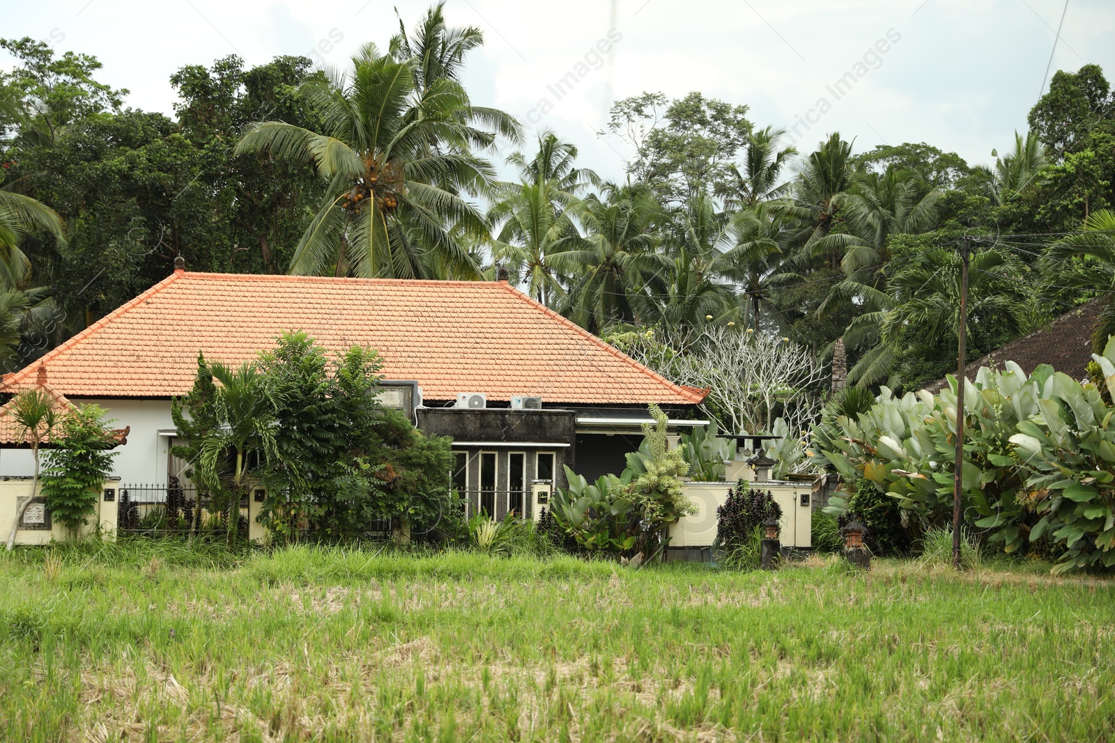 Building, palms and other green plants outdoors Photo of Building, palms and other green plants outdoors