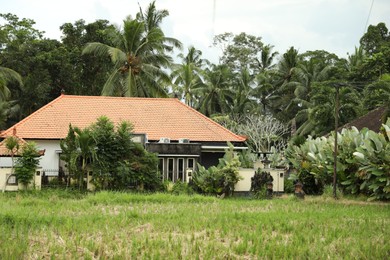 Photo of Building, palms and other green plants outdoors