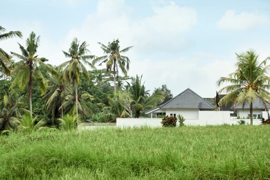 Photo of Beautiful rice field, building and green palms outdoors