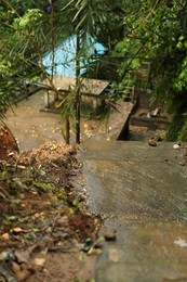 Photo of Wet stone stairs in tropical forest after rain, closeup