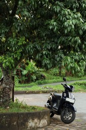 Photo of Black scooter parked near green tree outdoors