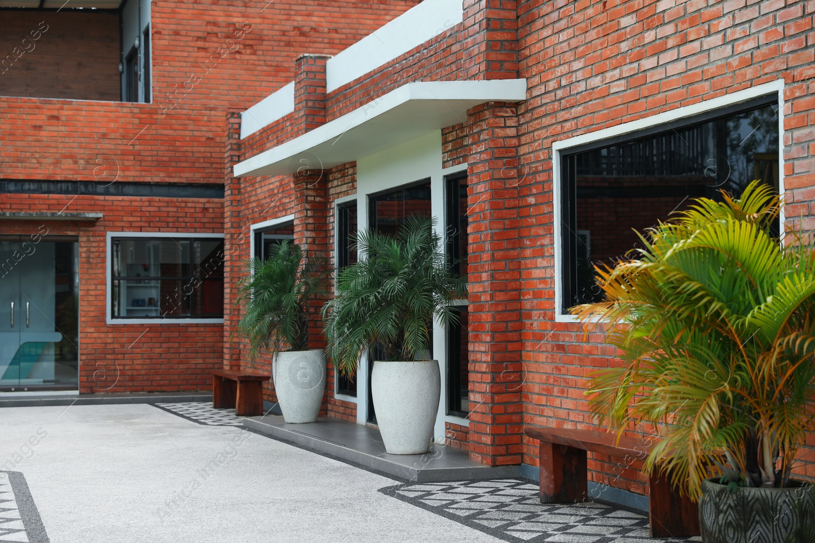 Beautiful palm trees and wooden benches near brick building Photo of Beautiful palm trees and wooden benches near brick building