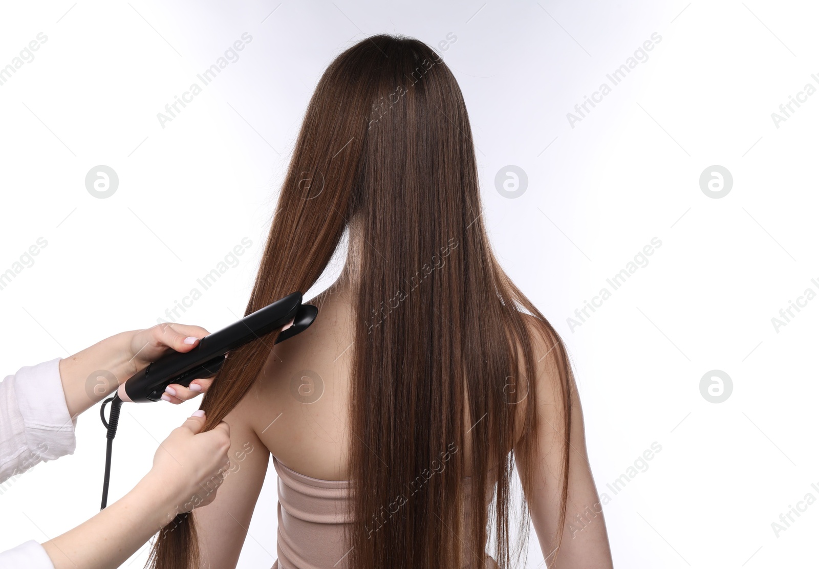 Hairdresser straightening woman's hair on white background, back view Photo of Hairdresser straightening woman's hair on white background, back view