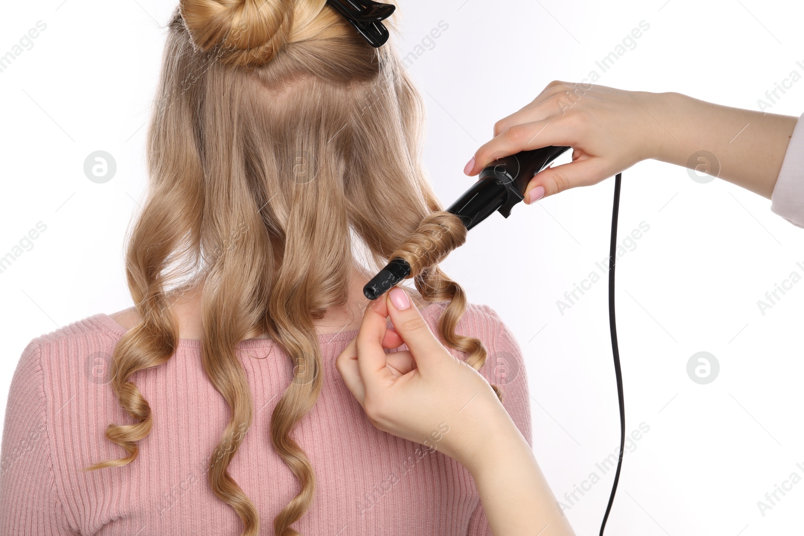 Hairdresser curling woman's hair on white background, back view Photo of Hairdresser curling woman's hair on white background, back view