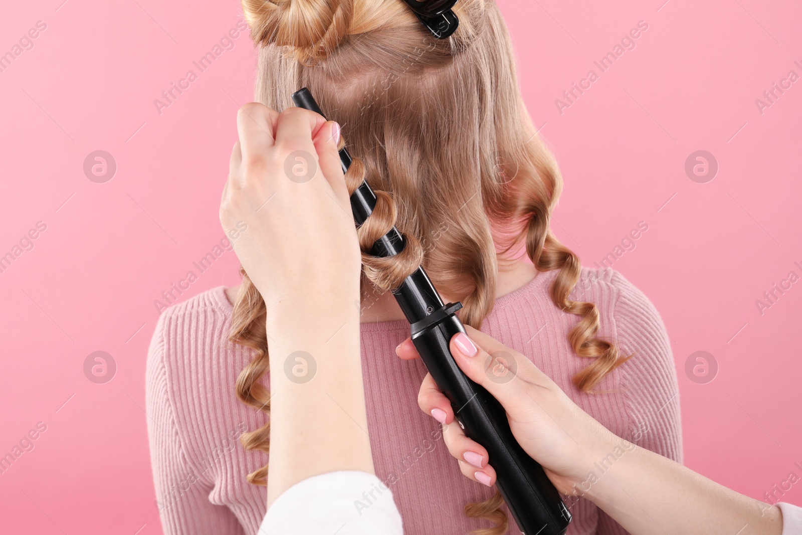 Hairdresser curling woman's hair on pink background, back view Photo of Hairdresser curling woman's hair on pink background, back view