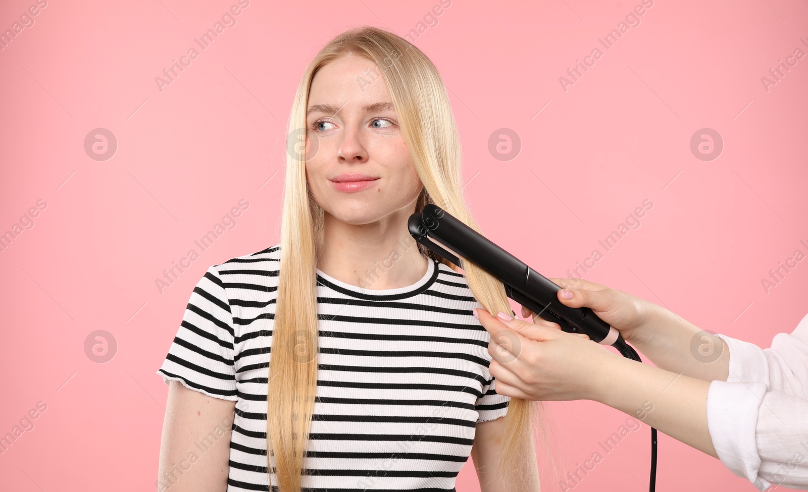 Hairdresser straightening woman's hair on pink background Photo of Hairdresser straightening woman's hair on pink background