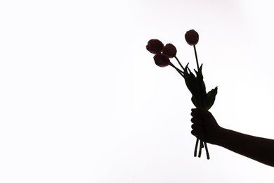 Photo of Silhouette of woman with tulips on white background, closeup