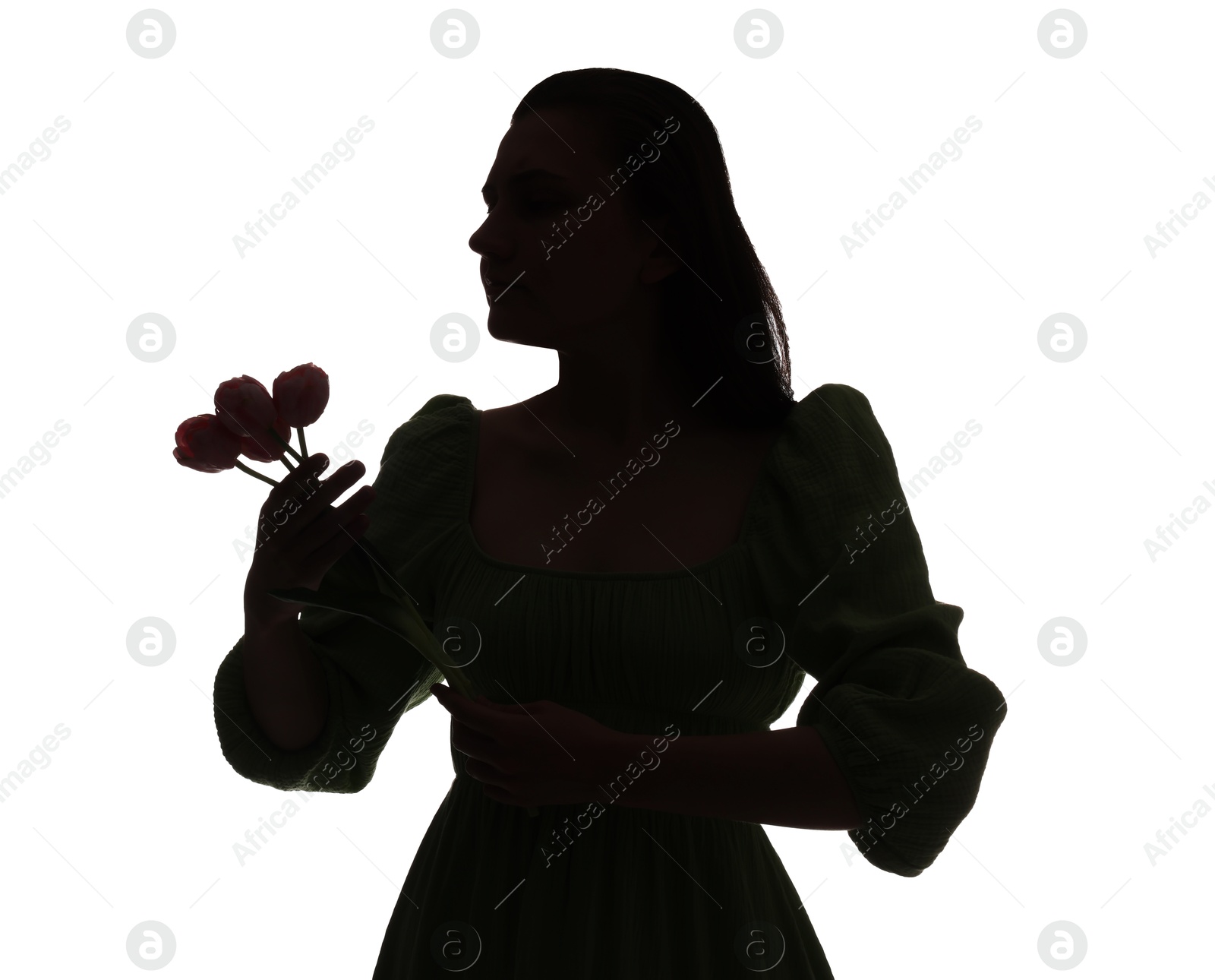 Silhouette of woman with tulips on white background Photo of Silhouette of woman with tulips on white background