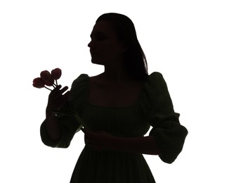 Photo of Silhouette of woman with tulips on white background