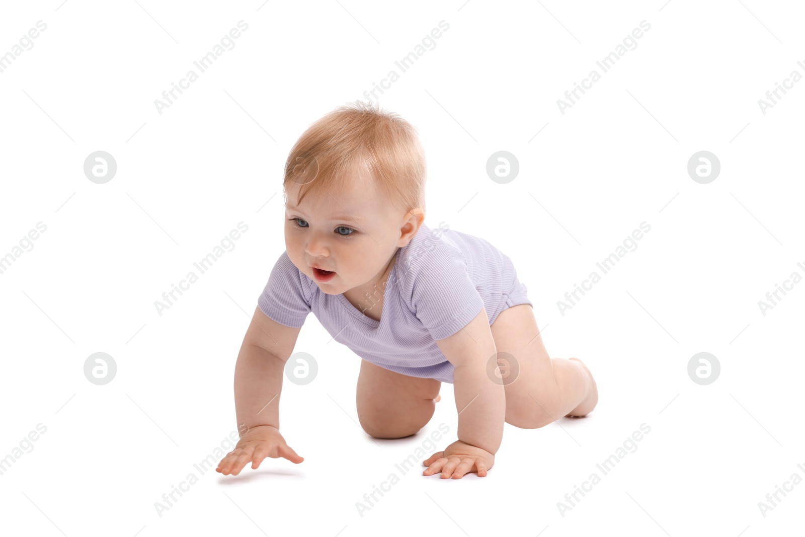 Cute little baby crawling on white background Photo of Cute little baby crawling on white background