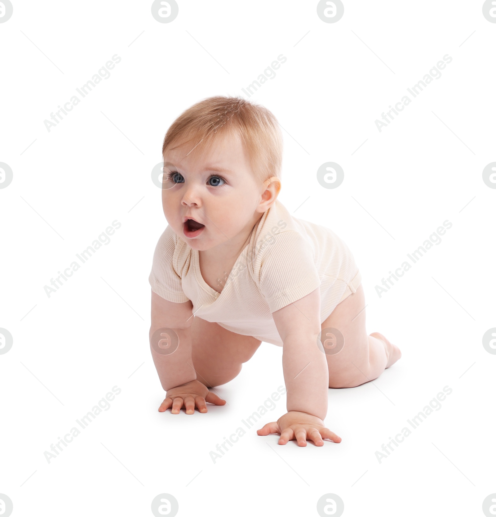 Cute little baby crawling on white background Photo of Cute little baby crawling on white background