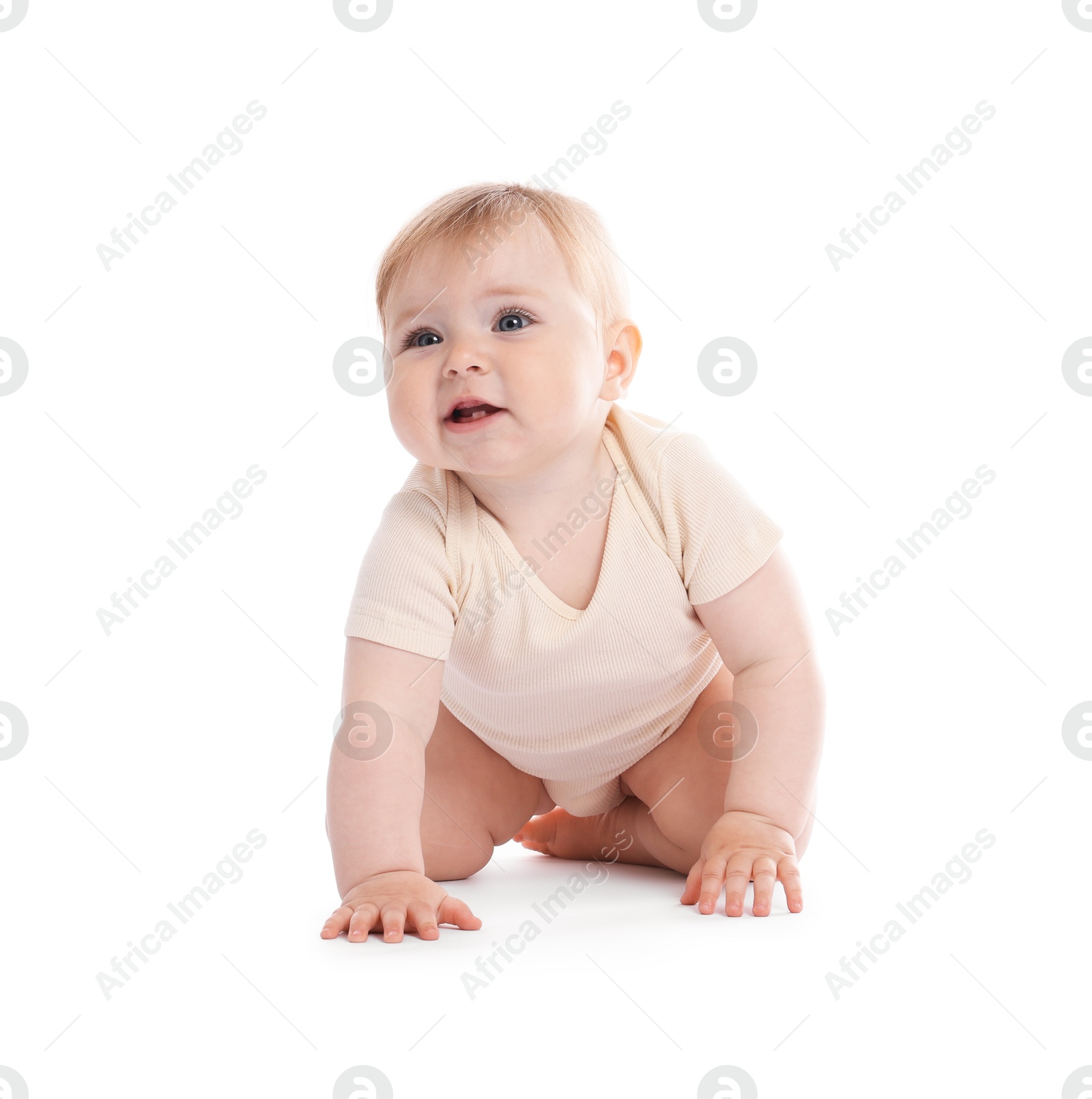 Cute little baby crawling on white background Photo of Cute little baby crawling on white background