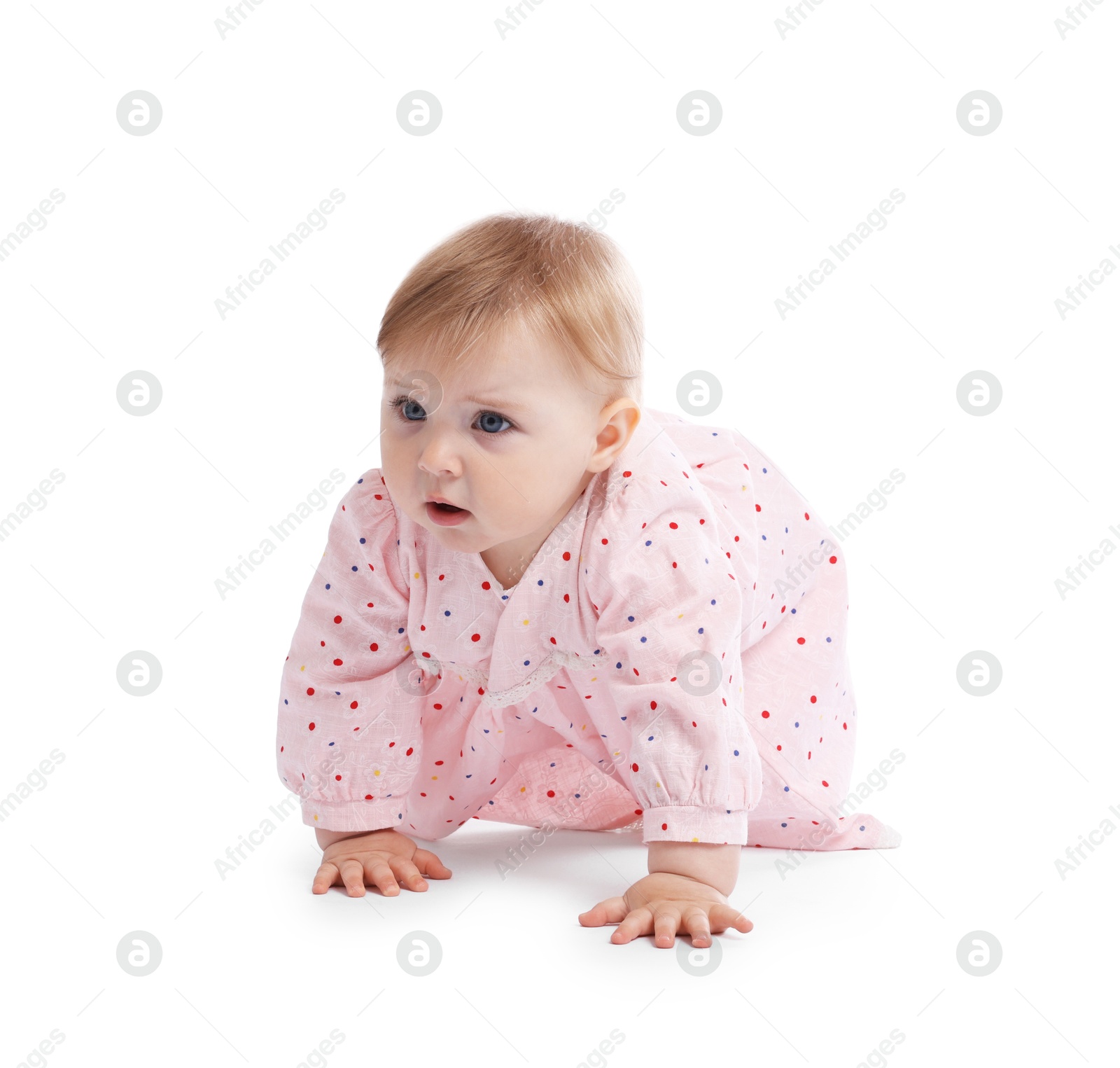 Cute little baby crawling on white background Photo of Cute little baby crawling on white background