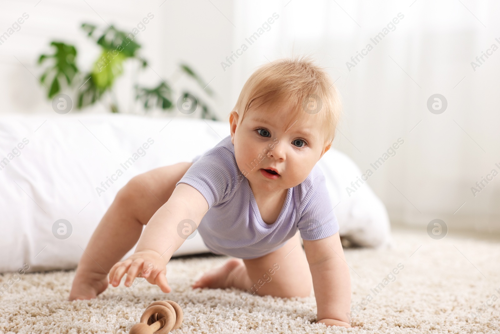 Photo of Cute little baby playing with rattle on floor indoors