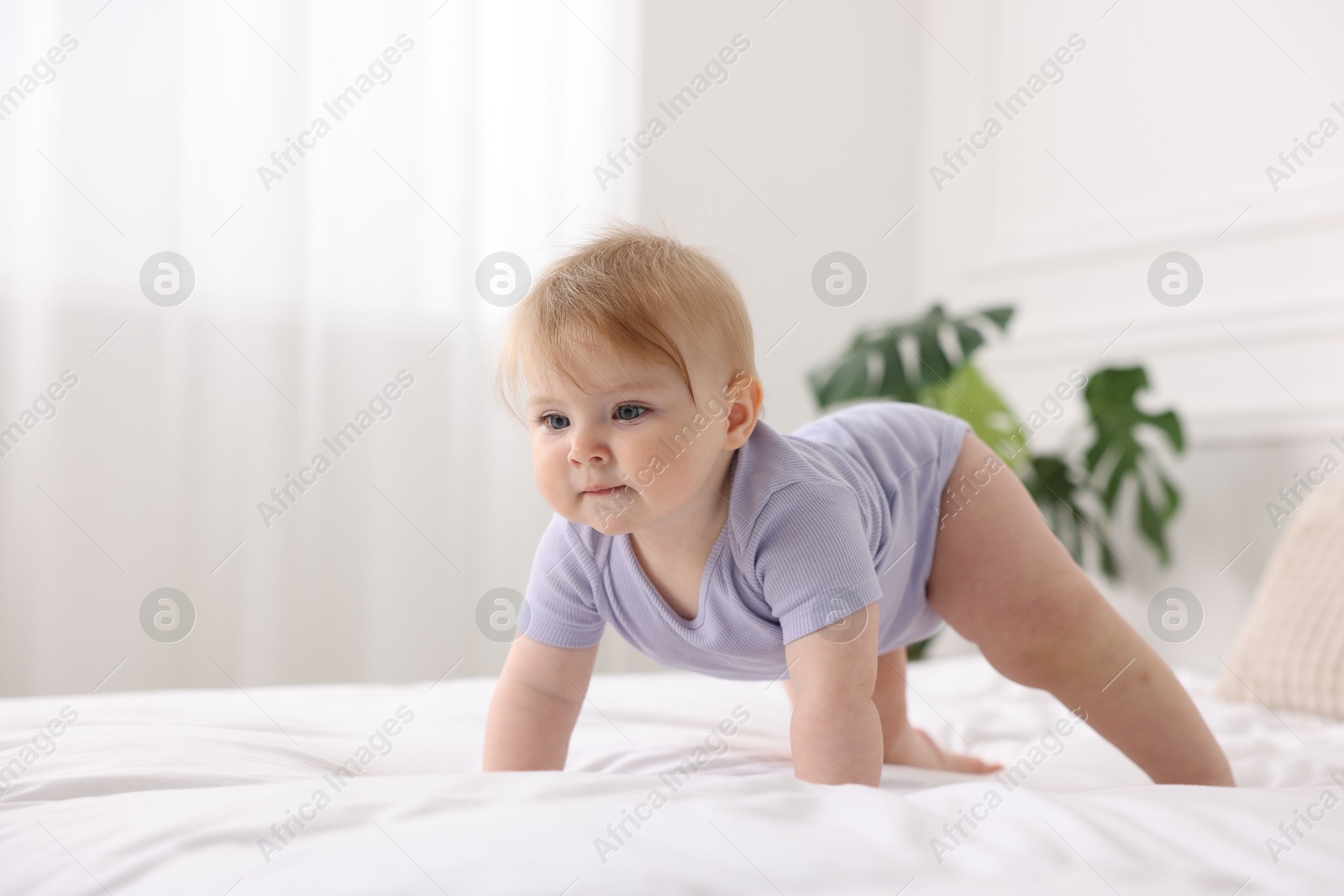Photo of Cute little baby on bed at home, space for text