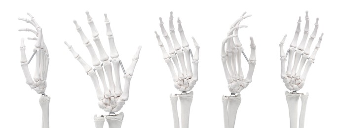 Image of Artificial human hand isolated on white, set. Different sides