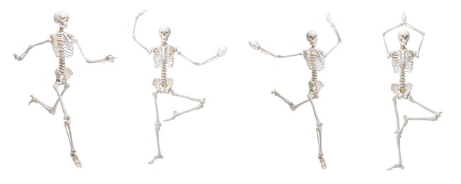 Image of Artificial human skeleton model in different poses isolated on white, set