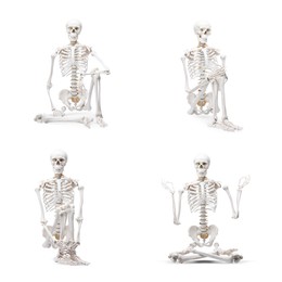 Image of Artificial human skeleton model in different poses isolated on white, set