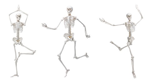 Image of Artificial human skeleton model in different poses isolated on white, set
