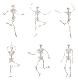 Image of Artificial human skeleton model in different poses isolated on white, set