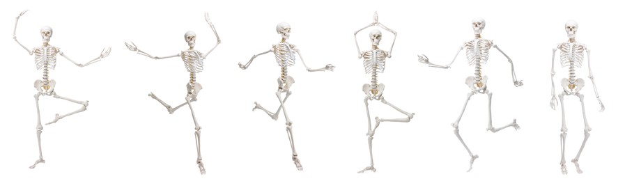 Image of Artificial human skeleton model in different poses isolated on white, set