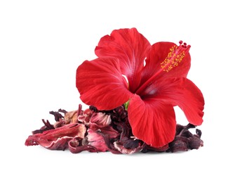 Image of Red hibiscus flower and dried calyces on white background