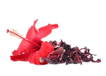 Image of Red hibiscus flower and dried calyces on white background