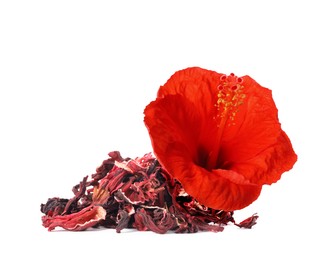 Image of Red hibiscus flower and dried calyces on white background