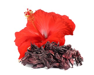 Image of Red hibiscus flower and dried calyces on white background