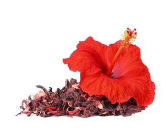 Image of Red hibiscus flower and dried calyces on white background