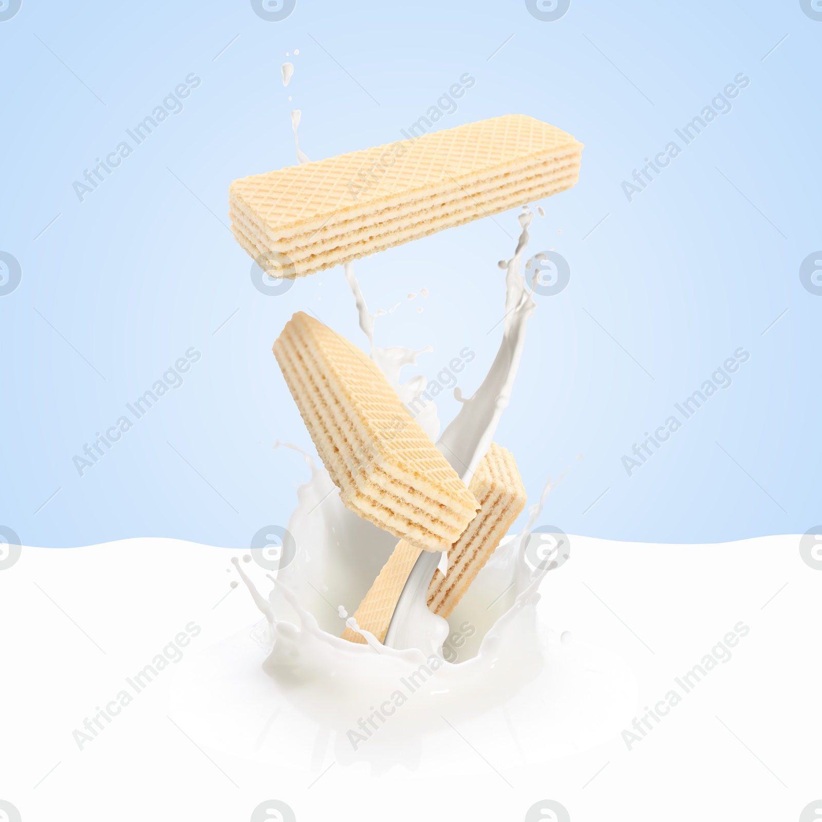 Tasty crispy wafers falling into splashing milk against light blue background Image of Tasty crispy wafers falling into splashing milk against light blue background