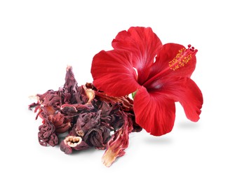 Image of Red hibiscus flower and dried calyces on white background