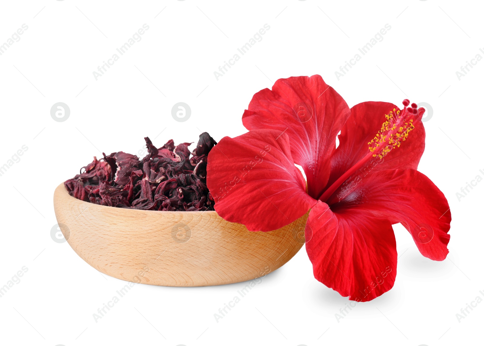 Red hibiscus flower and bowl with dried calyces on white background Image of Red hibiscus flower and bowl with dried calyces on white background