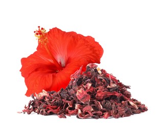 Image of Red hibiscus flower and dried calyces on white background