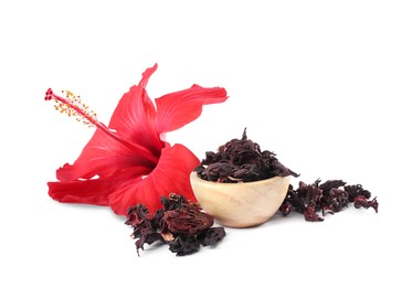Image of Red hibiscus flower and dried calyces on white background