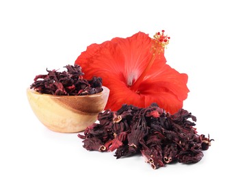 Image of Red hibiscus flower and dried calyces on white background