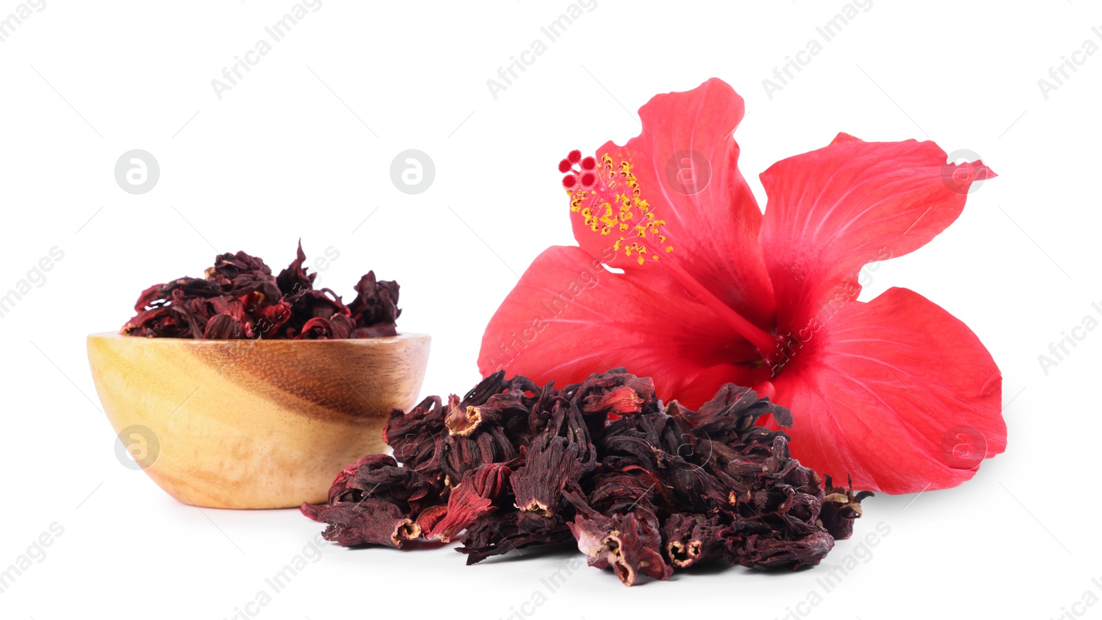 Image of Red hibiscus flower and dried calyces on white background