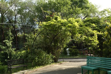 Photo of Beautiful botanical garden with trees, plants and benches