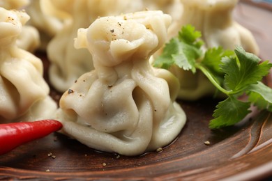 Photo of Delicious khinkali with spices on plate, closeup