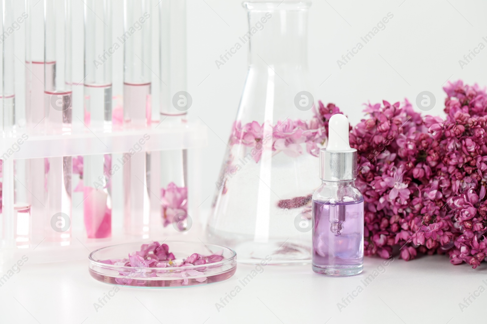 Making luxury perfume. Essential oils in glassware and flowers on white table, closeup Photo of Making luxury perfume. Essential oils in glassware and flowers on white table, closeup