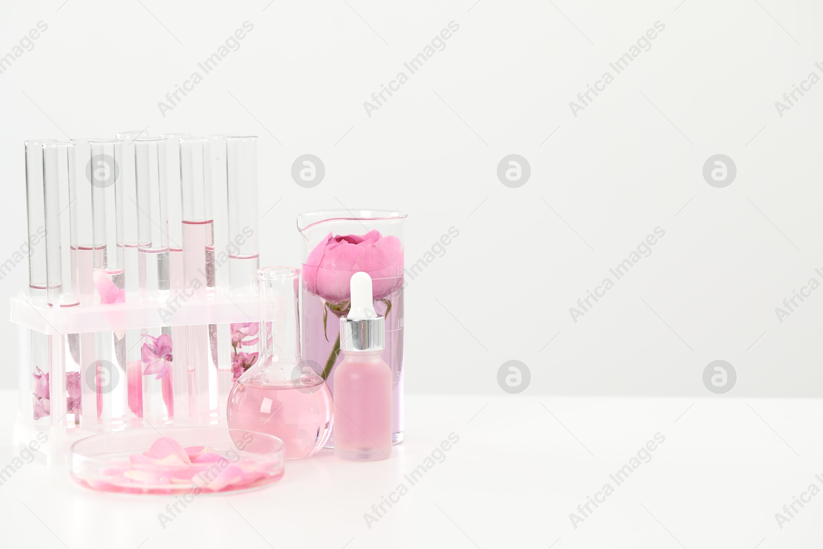 Making luxury perfume. Essential oils in glassware and flowers on white table, space for text Photo of Making luxury perfume. Essential oils in glassware and flowers on white table, space for text
