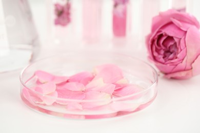 Photo of Making luxury perfume. Essential oils in glassware and flowers on white table, closeup