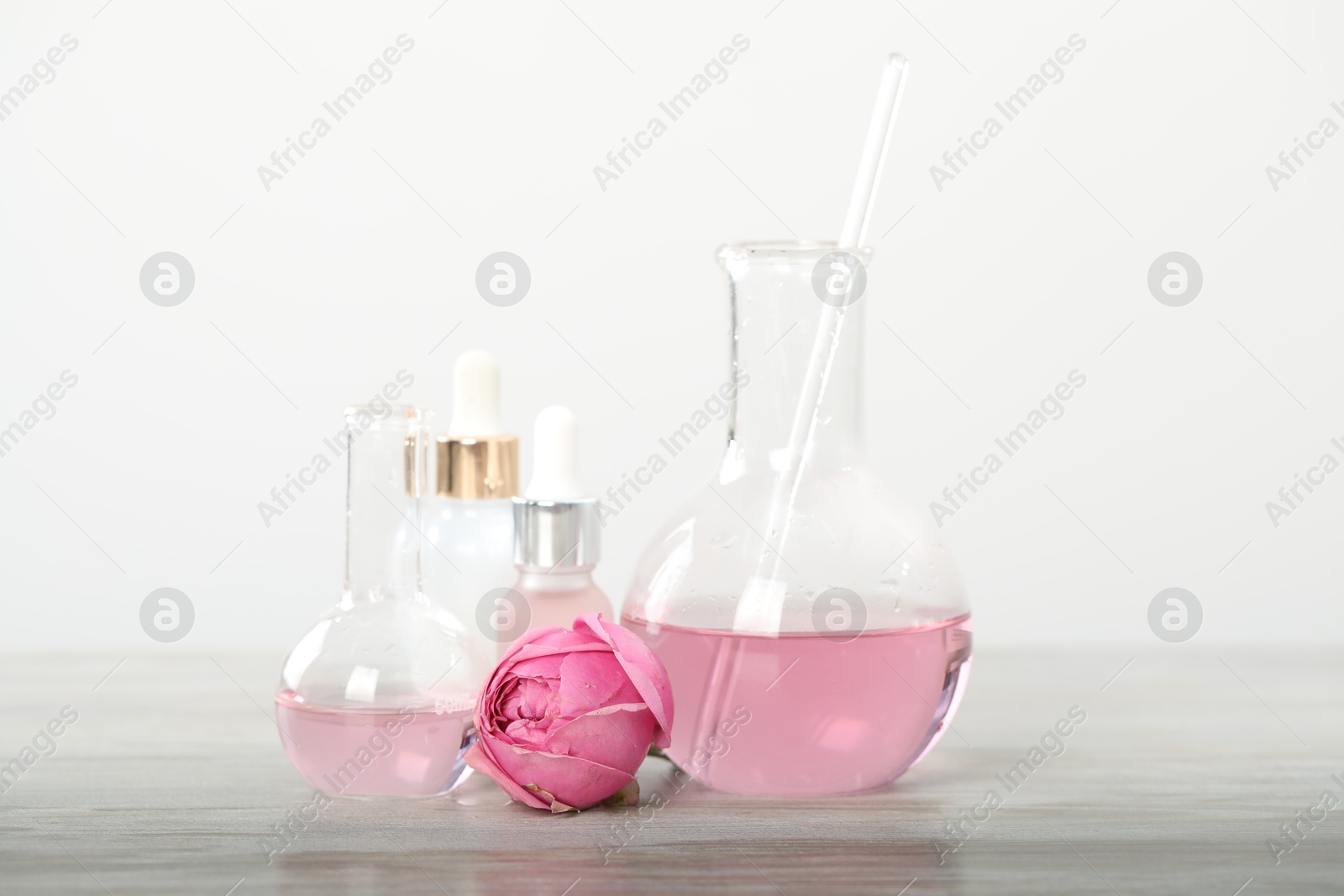 Making luxury perfume. Essential oils in glassware and flowers on white wooden table, closeup Photo of Making luxury perfume. Essential oils in glassware and flowers on white wooden table, closeup