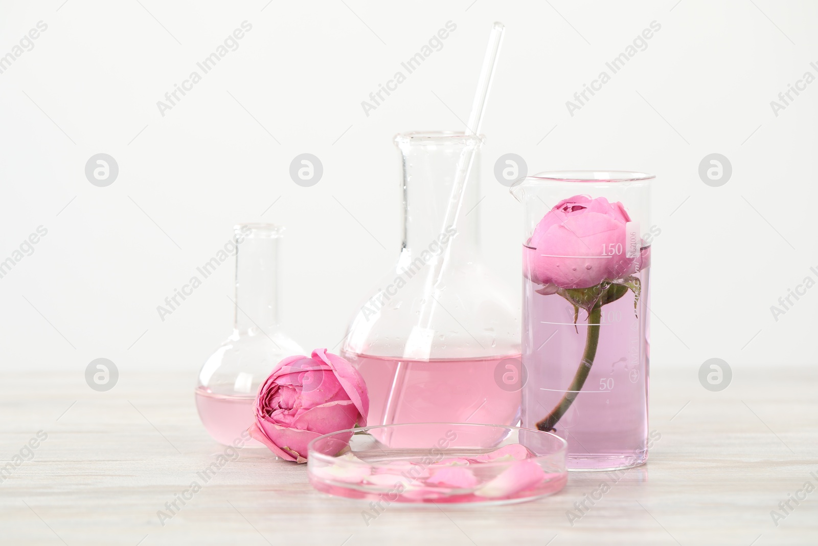 Making luxury perfume. Essential oils in glassware and flowers on white wooden table, closeup Photo of Making luxury perfume. Essential oils in glassware and flowers on white wooden table, closeup