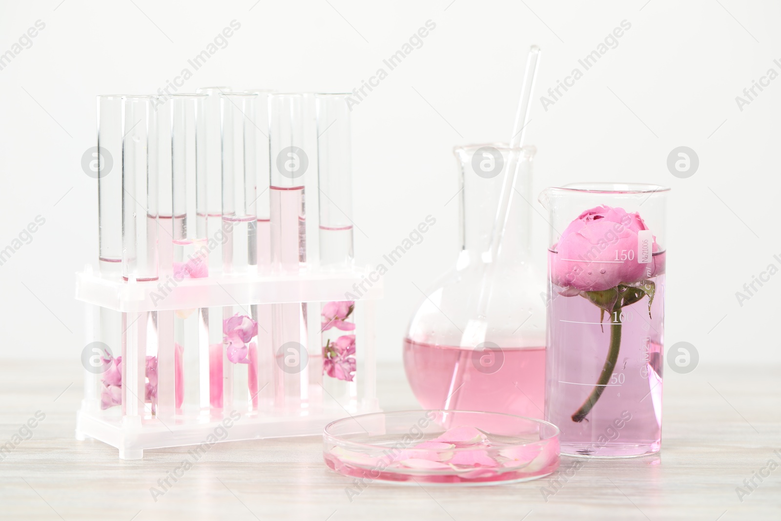 Making luxury perfume. Essential oils in glassware and flowers on white wooden table, closeup Photo of Making luxury perfume. Essential oils in glassware and flowers on white wooden table, closeup