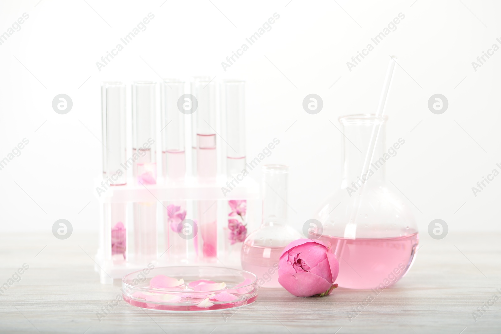Making luxury perfume. Essential oils in glassware and flowers on white wooden table, closeup Photo of Making luxury perfume. Essential oils in glassware and flowers on white wooden table, closeup