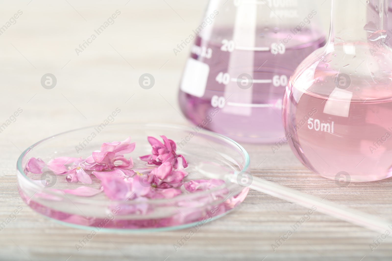 Making luxury perfume. Essential oils in glassware and flowers on white wooden table, closeup Photo of Making luxury perfume. Essential oils in glassware and flowers on white wooden table, closeup