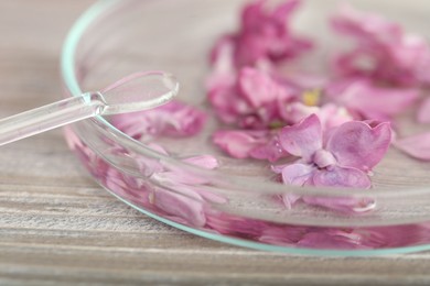 Photo of Making luxury perfume. Essential oil in Petri dish and flowers on white wooden table, closeup