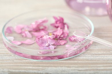Photo of Making luxury perfume. Essential oil in Petri dish and flowers on white wooden table, closeup